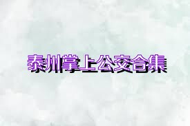 泰州掌上公交合集