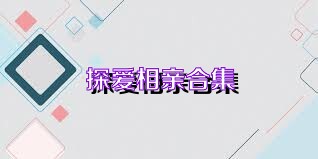 探爱相亲合集