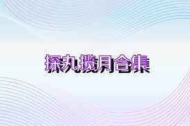 探丸揽月合集