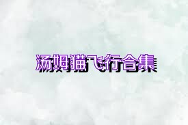 汤姆猫飞行合集