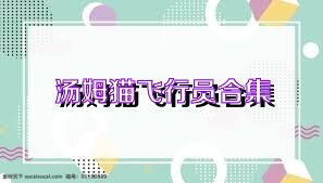 汤姆猫飞行员合集