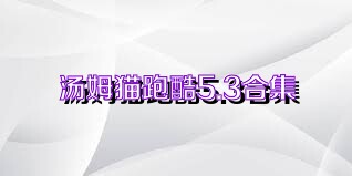 汤姆猫跑酷5.3合集
