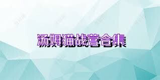 汤姆猫战营合集