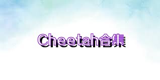 Cheetah合集