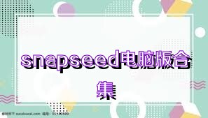 snapseed电脑版合集