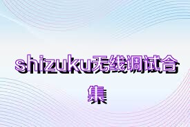 shizuku无线调试合集