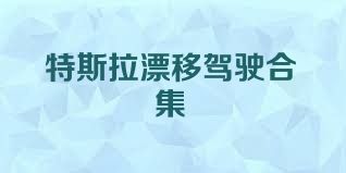 特斯拉漂移驾驶合集