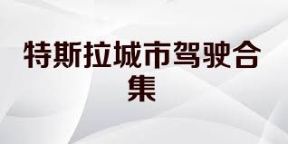 特斯拉城市驾驶合集