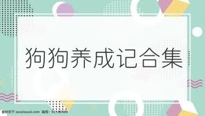 狗狗养成记合集