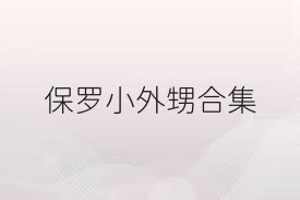 保罗小外甥合集
