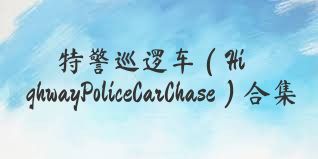 特警巡逻车（HighwayPoliceCarChase）合集