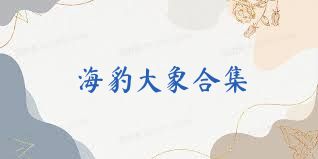海豹大象合集