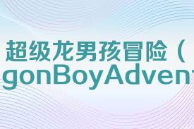 超级龙男孩冒险（SuperDragonBoyAdventure）合集