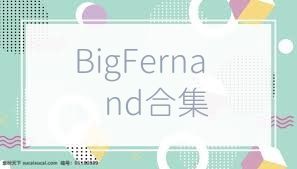 BigFernand合集