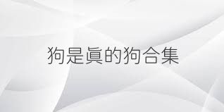 狗是真的狗合集