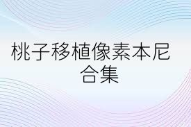 桃子移植像素本尼合集