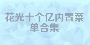 花光十个亿内置菜单合集
