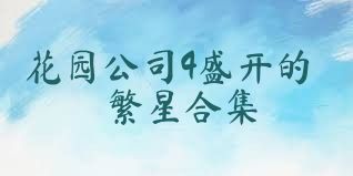 花园公司4盛开的繁星合集