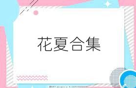 花夏合集