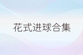 花式进球合集