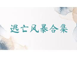 逃亡风暴合集