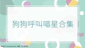狗狗呼叫喵星合集