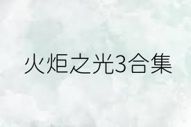 火炬之光3合集