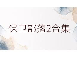 保卫部落2合集