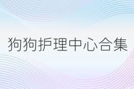 狗狗护理中心合集