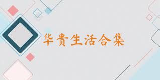 华贵生活合集