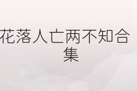 花落人亡两不知合集