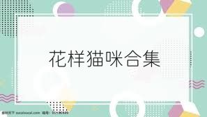 花样猫咪合集