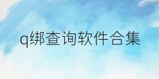 q绑查询软件合集